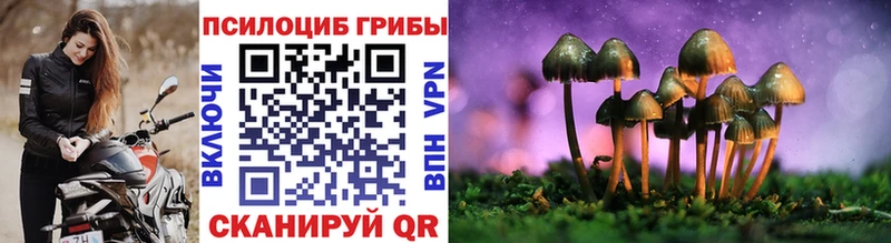 Псилоцибиновые грибы MAGIC MUSHROOMS  Купить закладки  Краснодар 